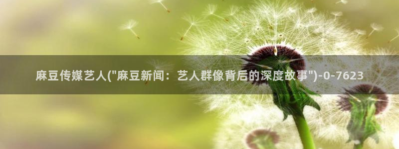 国产麻豆专区：麻豆传媒艺人(\