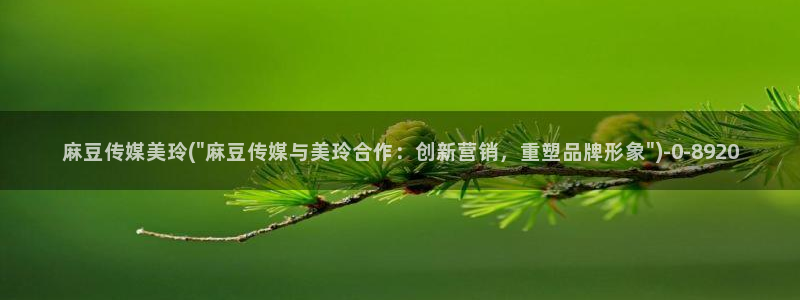 麻豆区：麻豆传媒美玲(\