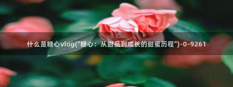 糖心vlog产精国免费入口