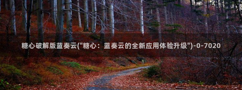 糖心vlog兑换码领取