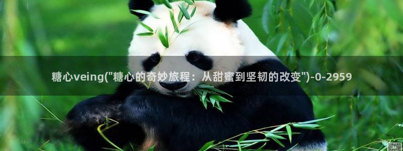 心糖vlog入口