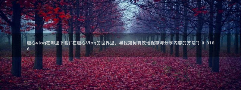 糖心vlog是什么平台
