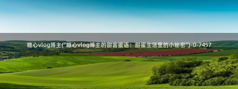 糖心vlog官网破解版
