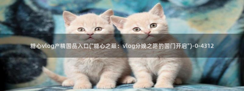 糖心vlog在线免费下载