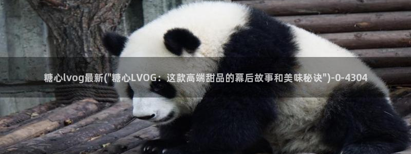 糖心vlog..