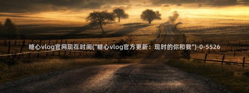 糖心,vlog